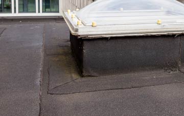 disadvantages of Higher Holton flat roofs