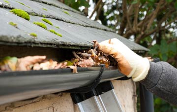 gutter cleaning Higher Holton, Somerset