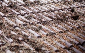 Higher Holton roof cleaning companies