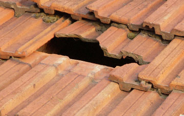 roof repair Higher Holton, Somerset